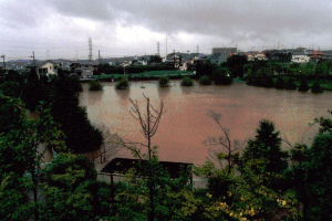 泉田向公園 増水時の画像
