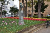 2020年3月31日の横浜公園のチューリップの写真3