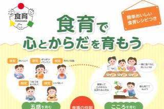 Leaflets distributed in food education courses (infant food)