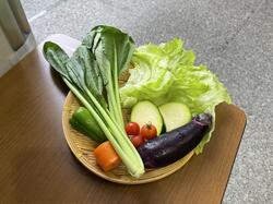 350gの野菜の展示