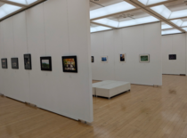 写真部門の写真