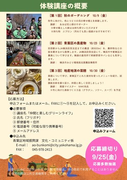 チラシ裏