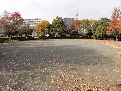 秋の広場です。