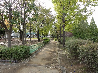 樹木に囲まれた園路です。