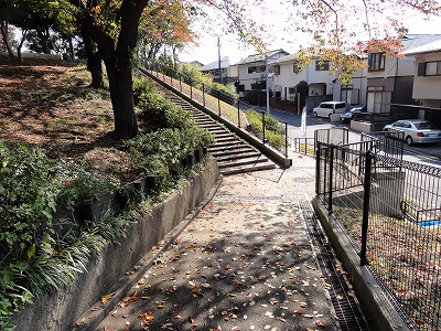 公園の入口周辺です。