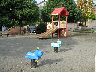 複合遊具とスプリング遊具です。