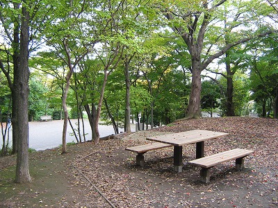 樹林の中のベンチとテーブルです。