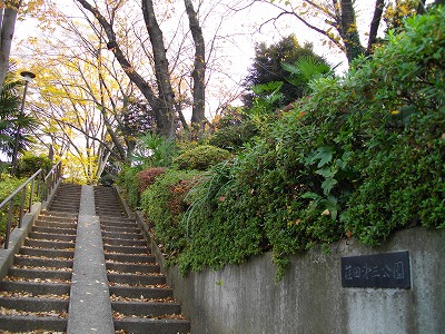 公園の入口に続く階段です。