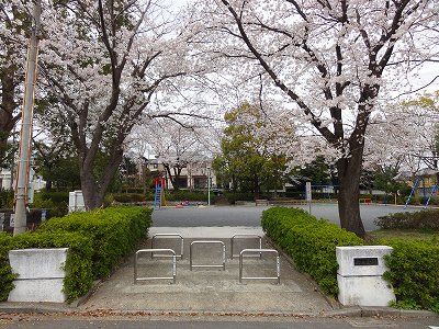 公園の入口とサクラです。
