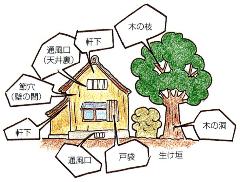 ハチの巣がつくられやすい場所の絵