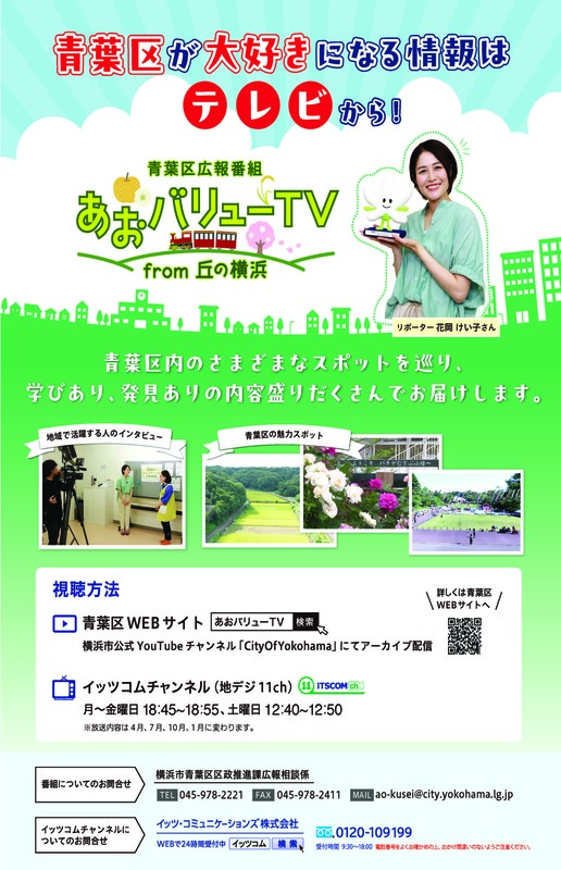 あおバリューTVチラシ