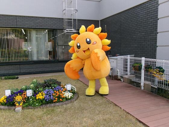 あさひくん写真