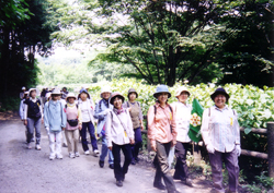 ふれあいウォーキング