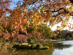 こども自然公園