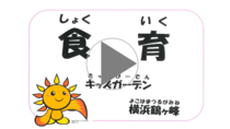 キッズガーデン横浜鶴ヶ峰「食育」の動画リンク