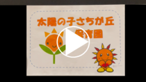 태양의 아이 사치가오카 보육원의 동영상 링크