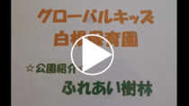 Liên kết video Trường Mầm non Global Kids Shirane “Giới thiệu Công viên Rừng Fureai”