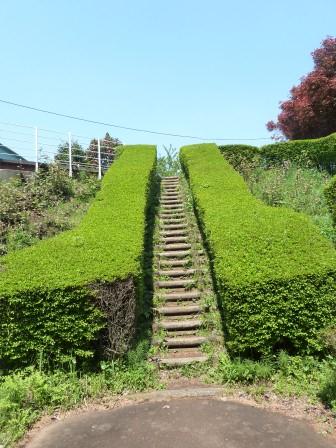 ウォーキングコース途中の様子