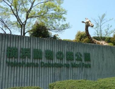 横浜動物の森公園入口の写真