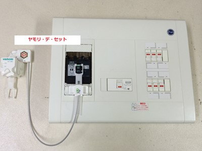 ヤモリ・デ・セットの写真