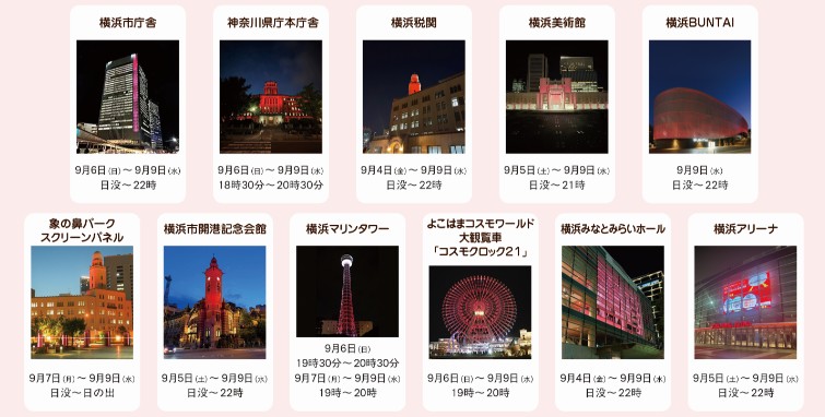 ライトアップ施設画像
