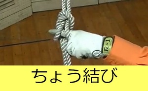 ちょう結び説明動画へのリンク