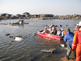 Human life search activities by boating in Wakabayashi Ward