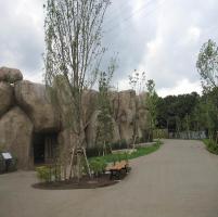 요코하마 동물의 숲 공원 기린사 사진
