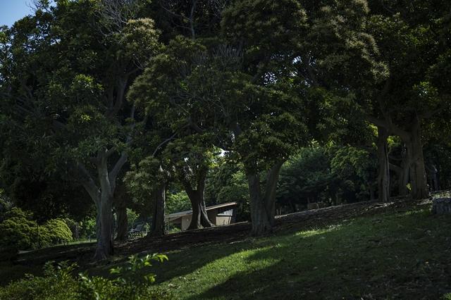 根岸森林公園トイレ遠景の写真