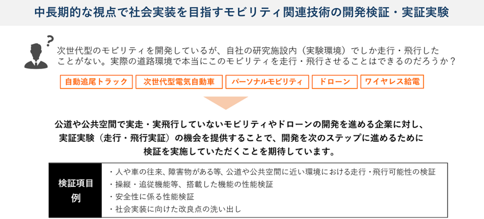 戦略的実証実験の概要