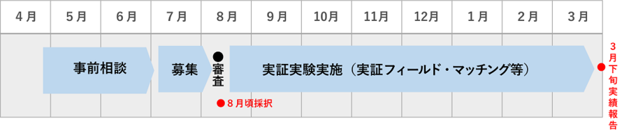戦略的実証実験の公募スケジュール