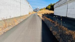 道路予定地写真