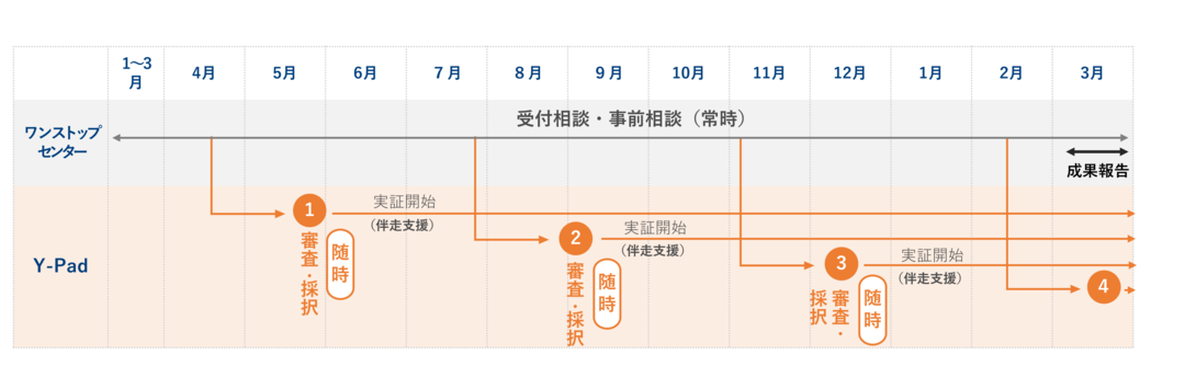 年間スケジュール