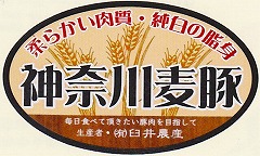 神奈川麦豚のロゴを示しています