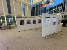 2026年3月11日写真パネル展2