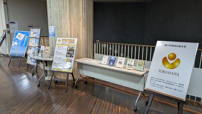 展示の様子