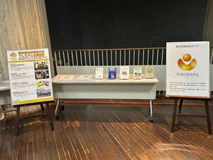 展示の様子