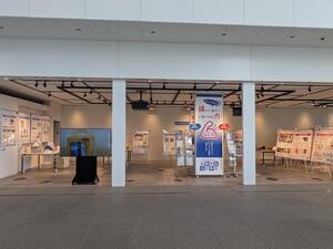 展示の様子の写真１