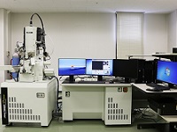 電界放射型走査電子顕微鏡（FE-SEM）