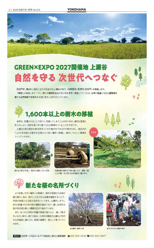 4面の紙面イメージ