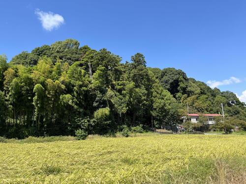 舞岡ふるさと村の景色