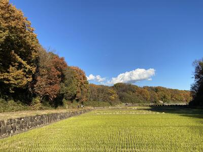 寺家ふるさと村の風景