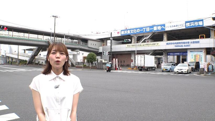 画像：横浜市中央卸売市場