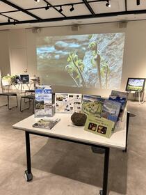 友好交流自治体紹介展３