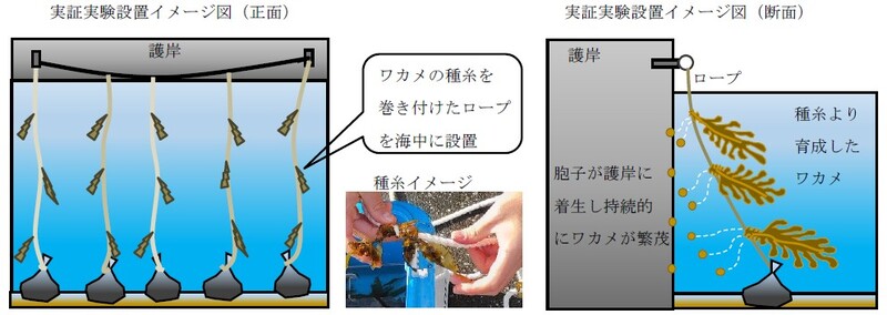 実験概要
