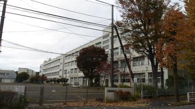 正面から撮影しました
