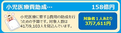 目的別内訳のうち、小児医療費助成