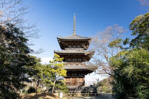 三溪園のシンボル「旧燈明寺三重塔」保存プロジェクト