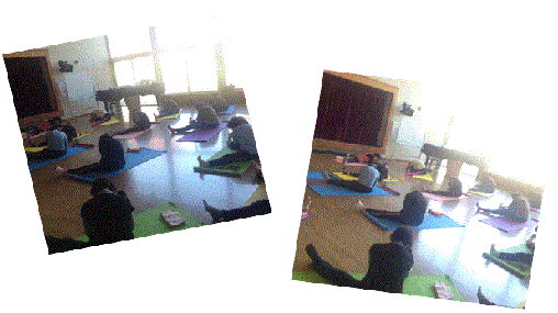 活動の様子の写真