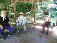 活動の様子の写真